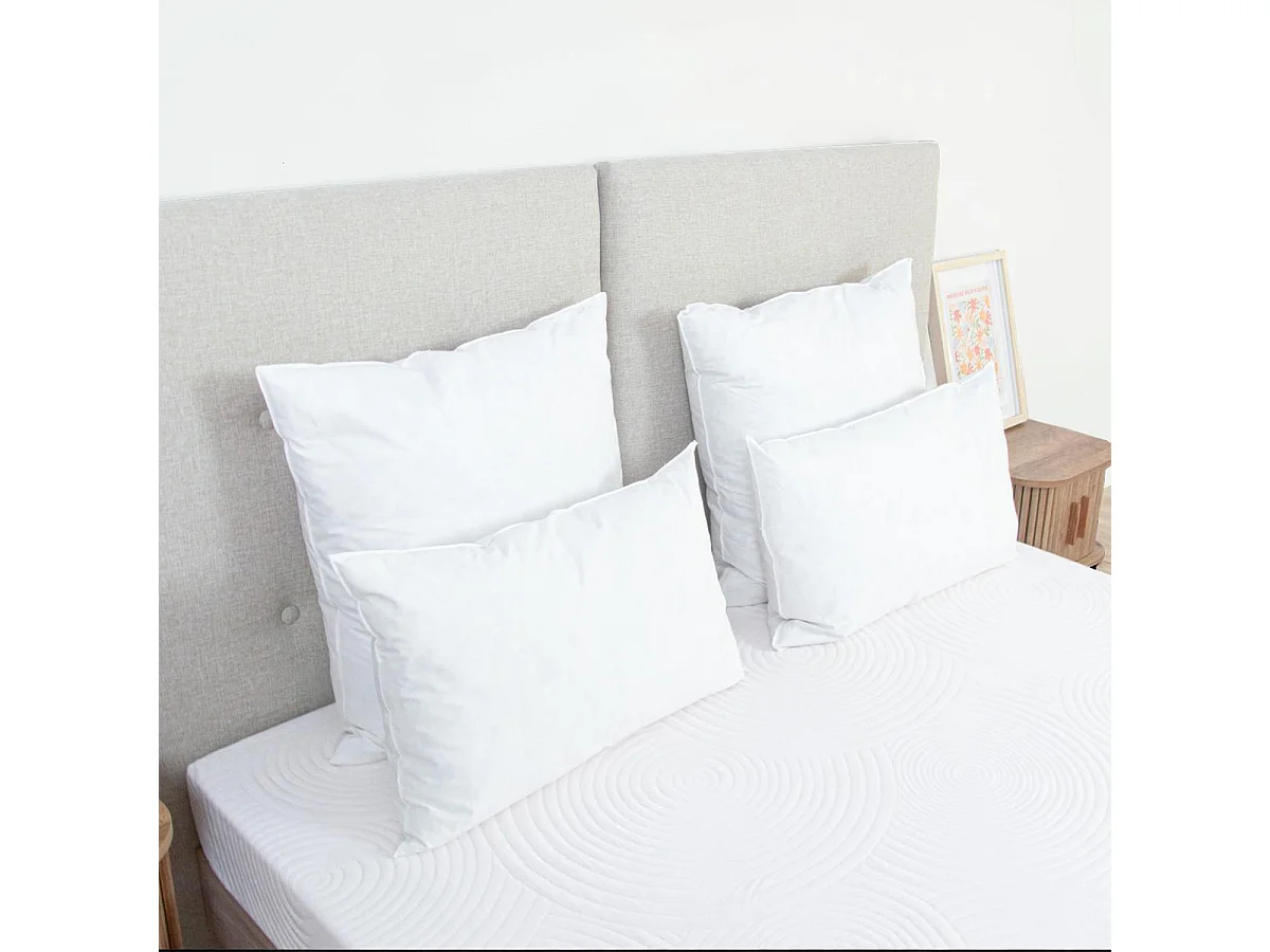 Lot de 4 oreillers Natura 60x60 cm Duvet & Plumess