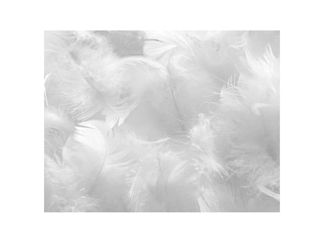 Almohada para hotel 5 estrellas 60x60 cm percal blanco Palace