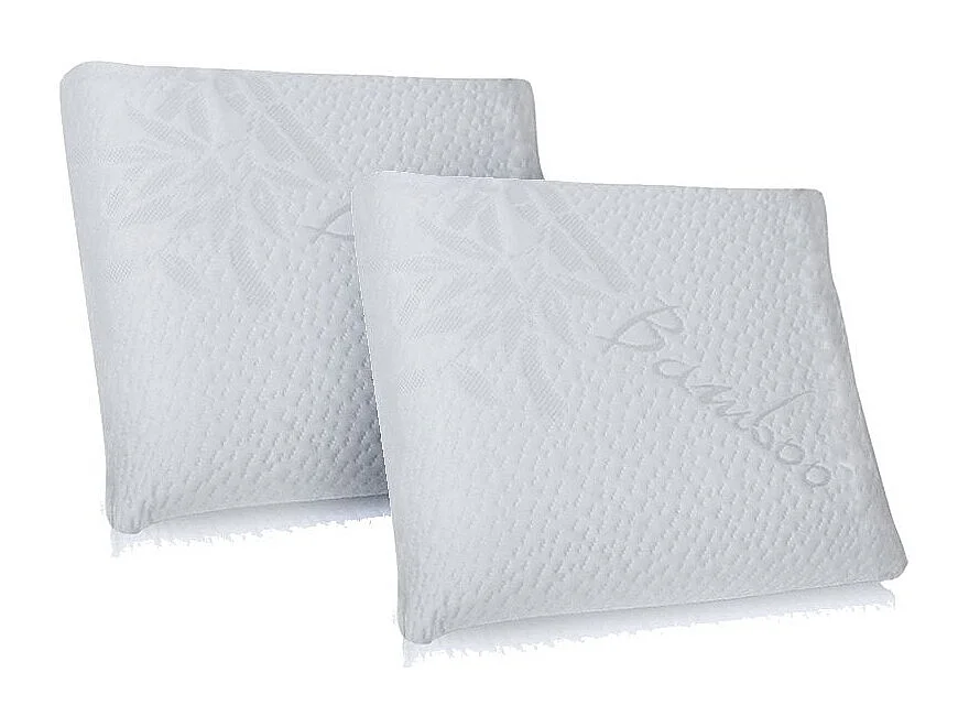 Oreiller 60x60 à mémoire de forme Bio Airy - Lot de 2