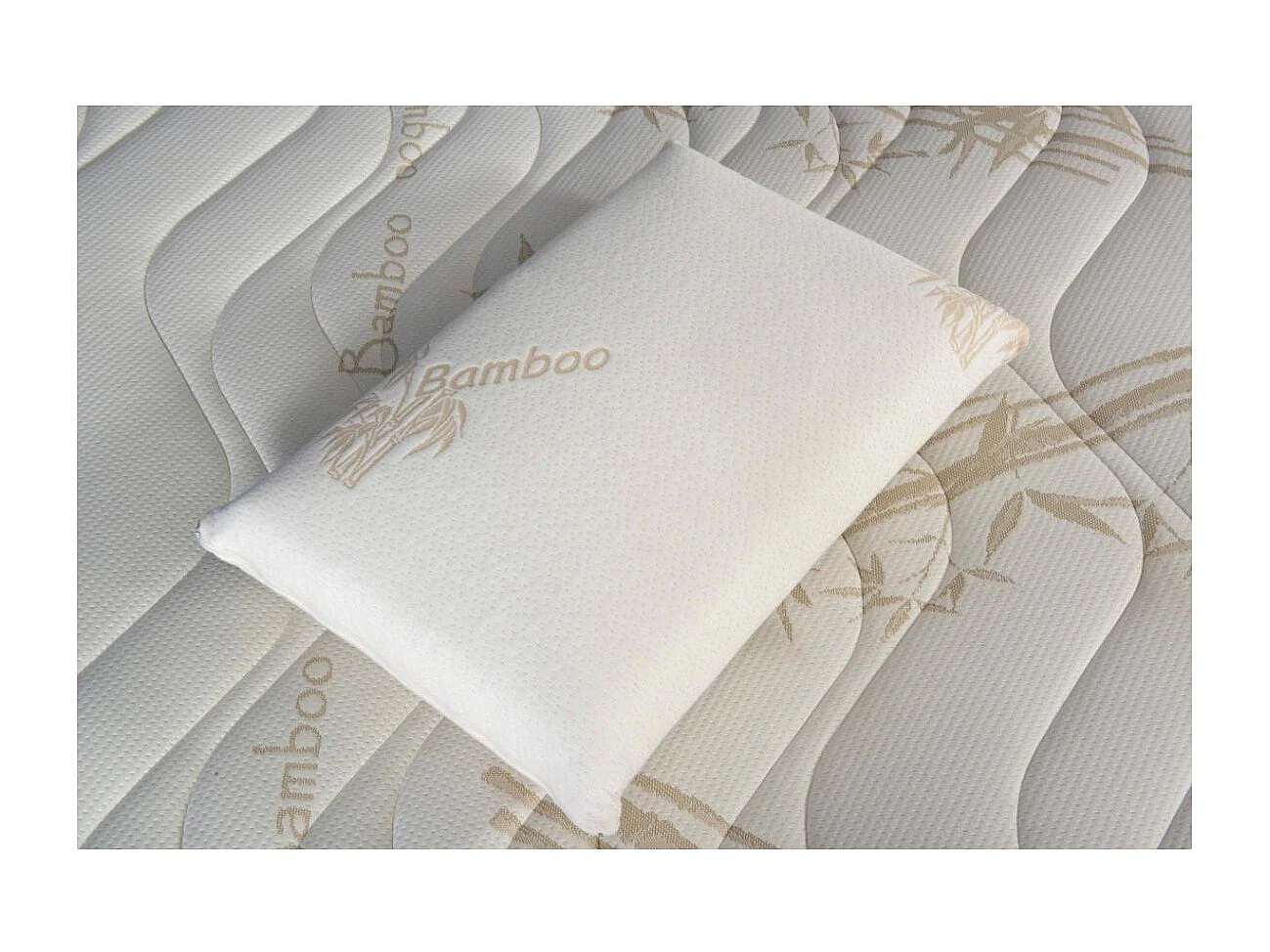 Oreiller 60x60 à mémoire de forme Bio Airy - Lot de 2