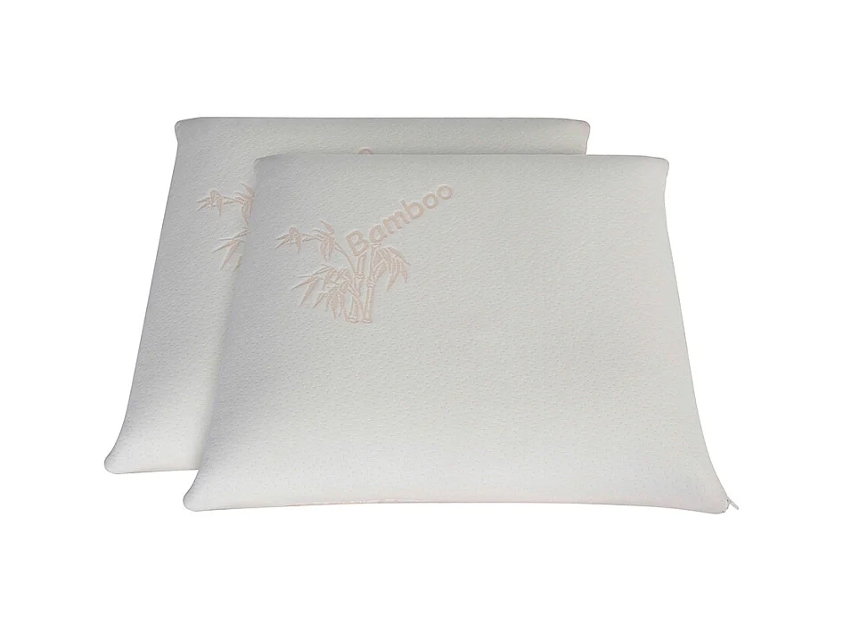 Oreiller 60x60 à mémoire de forme Bio Airy - Lot de 2
