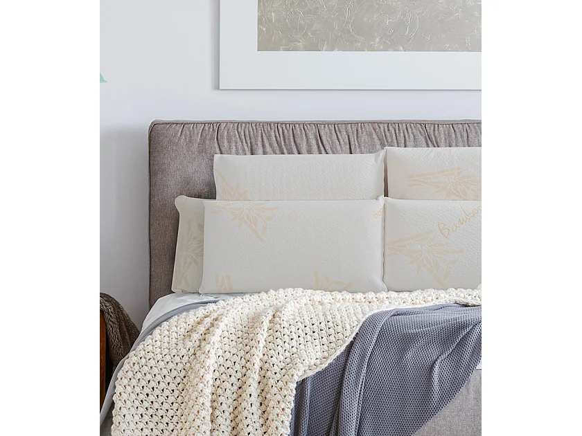 Oreiller 60x60 à mémoire de forme Bio Airy - Lot de 2