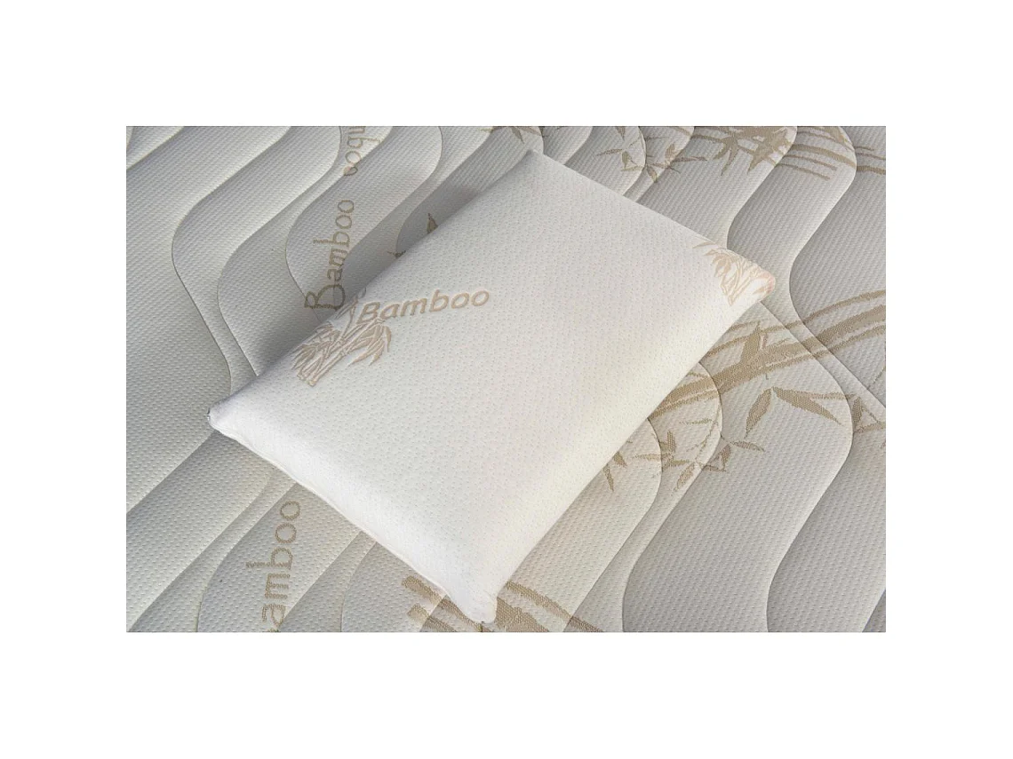 Oreiller 60x60 à mémoire de forme Bio Airy - Lot de 2