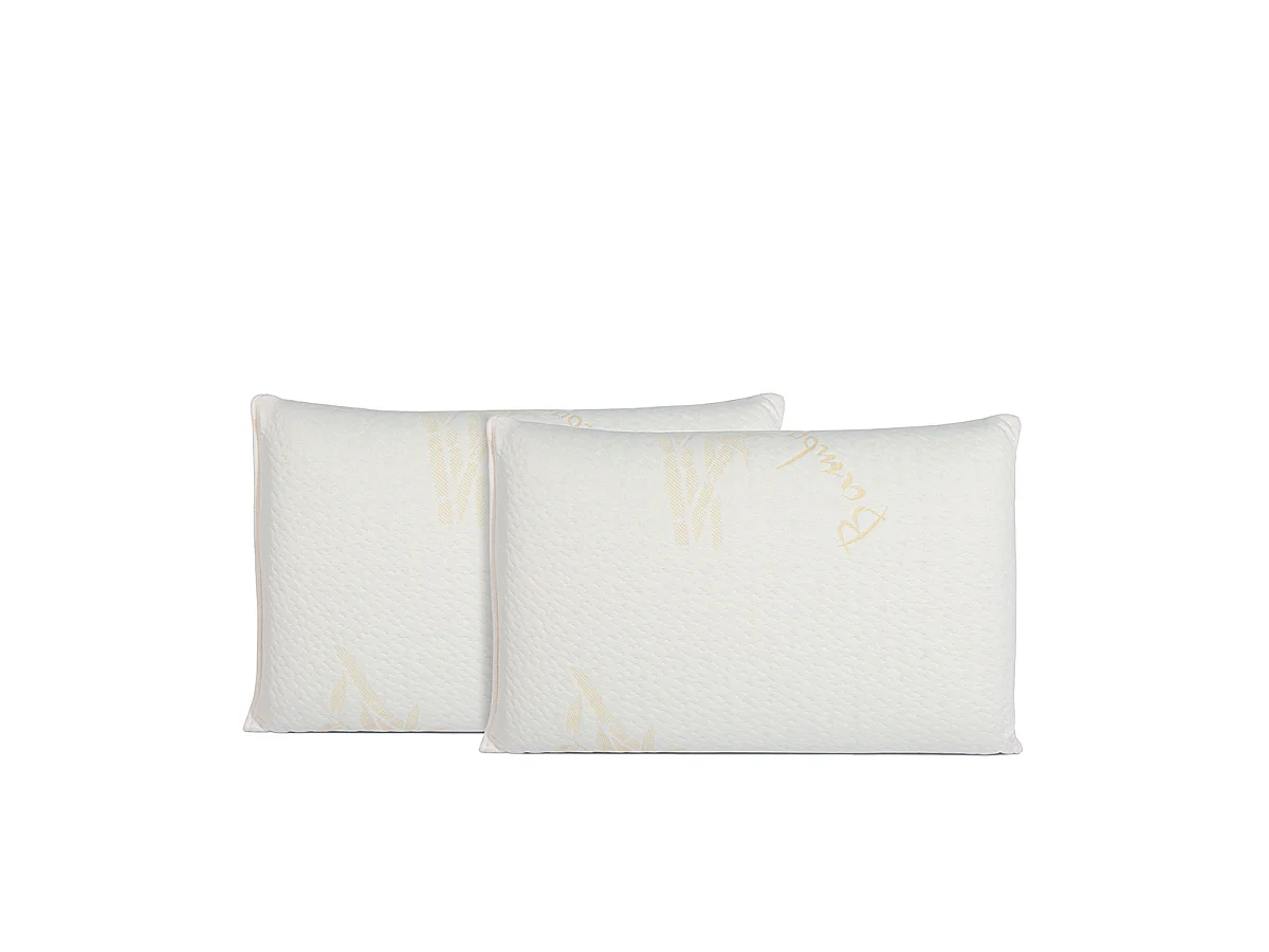 Oreiller 60x60 à mémoire de forme Bio Airy - Lot de 2