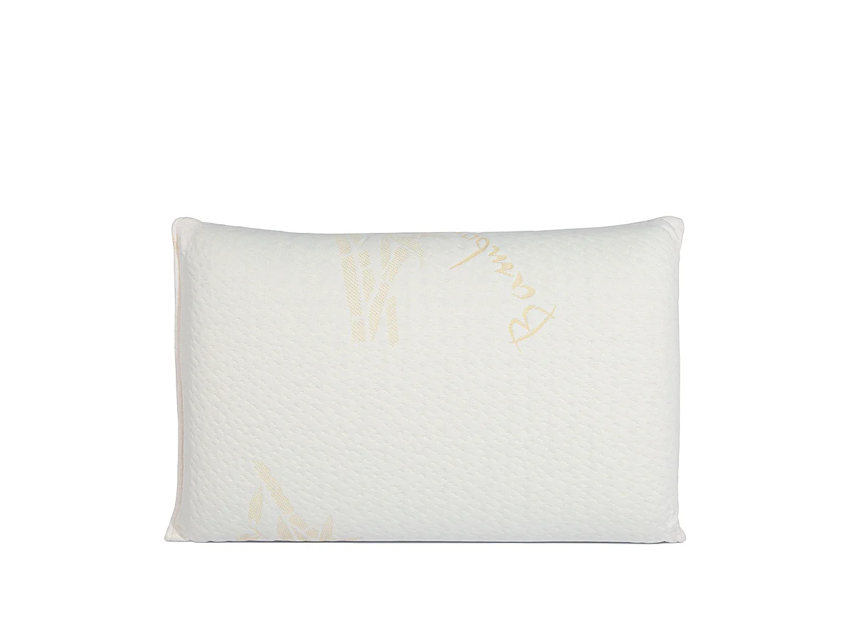 Oreiller 60x60 à mémoire de forme Bio Airy - Lot de 2