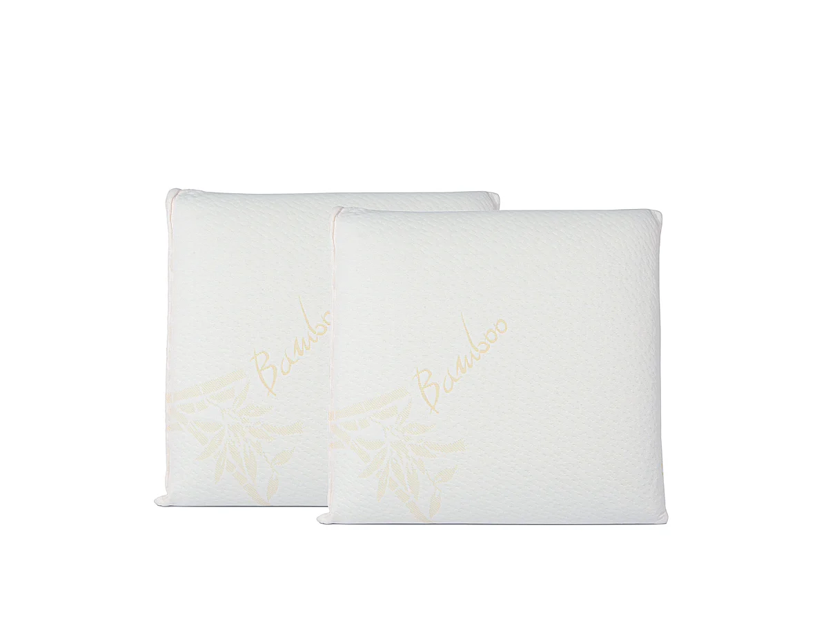 Oreiller 60x60 à mémoire de forme Bio Airy - Lot de 2
