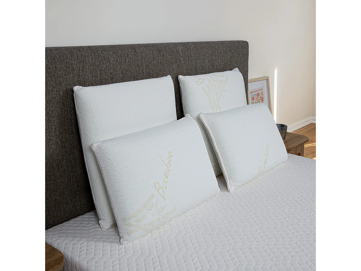 Oreiller 60x60 à mémoire de forme Bio Airy - Lot de 2
