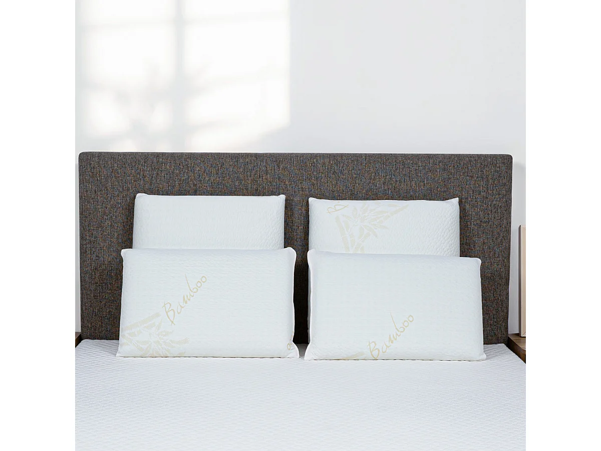 Oreiller 60x60 à mémoire de forme Bio Airy - Lot de 2