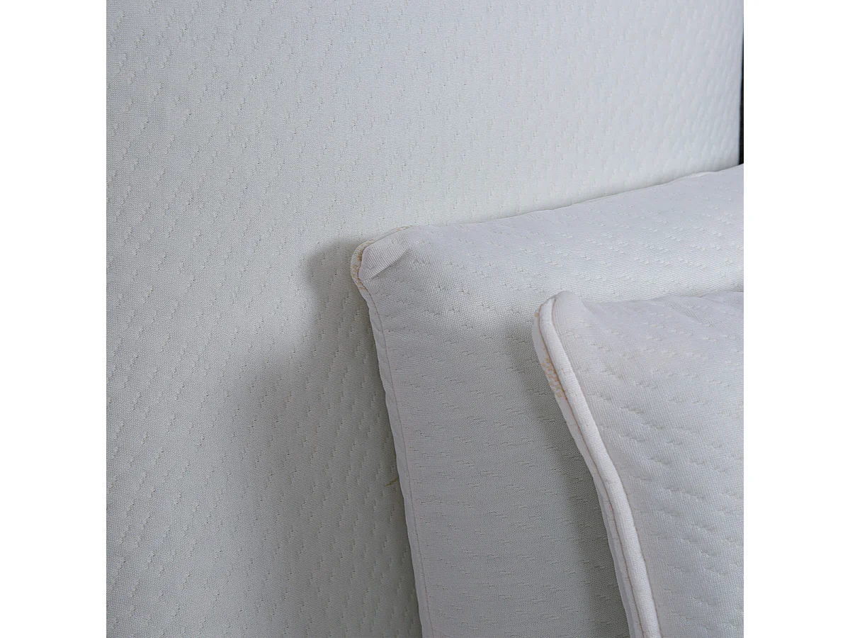 Oreiller 60x60 à mémoire de forme Bio Airy - Lot de 2