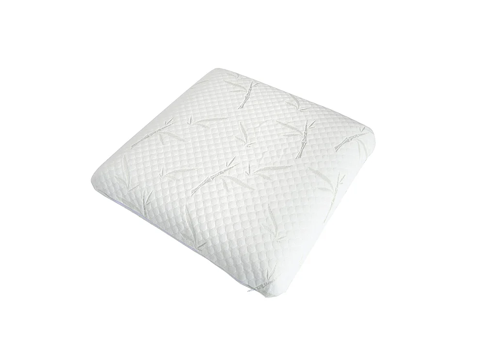 Lot de 2 oreillers Sérénité 60x60 cm Mémoire de forme
