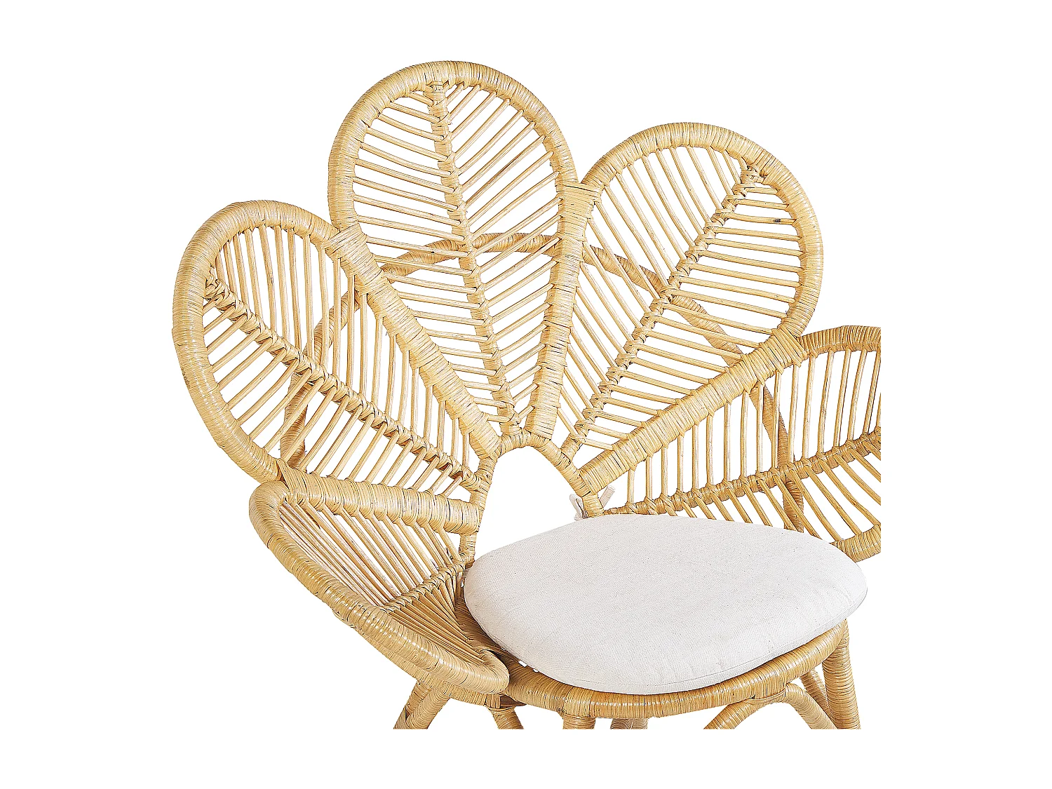 Lot de 2 chaises paon FLORENTINE Rotin Naturel