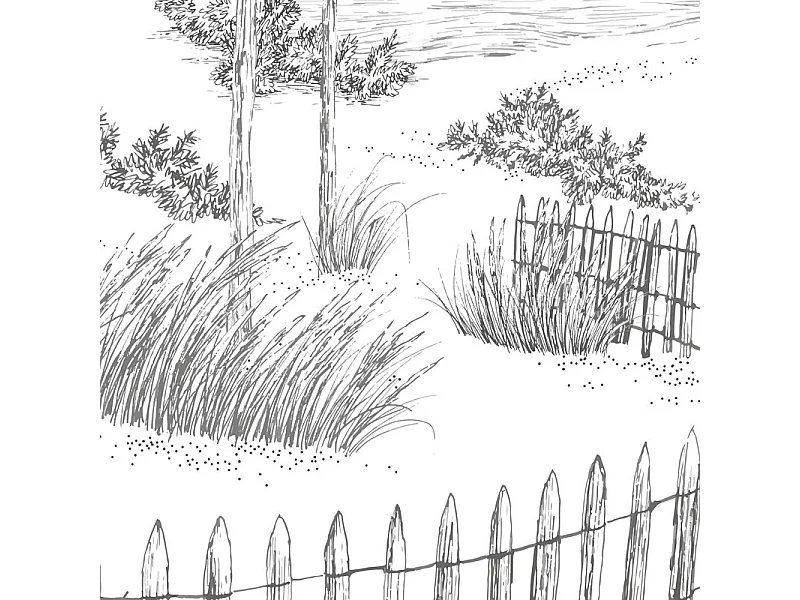 Papier peint panoramique - Les Landes - Noir - intissé : 150g/m² - 7 lés : 336x270cm