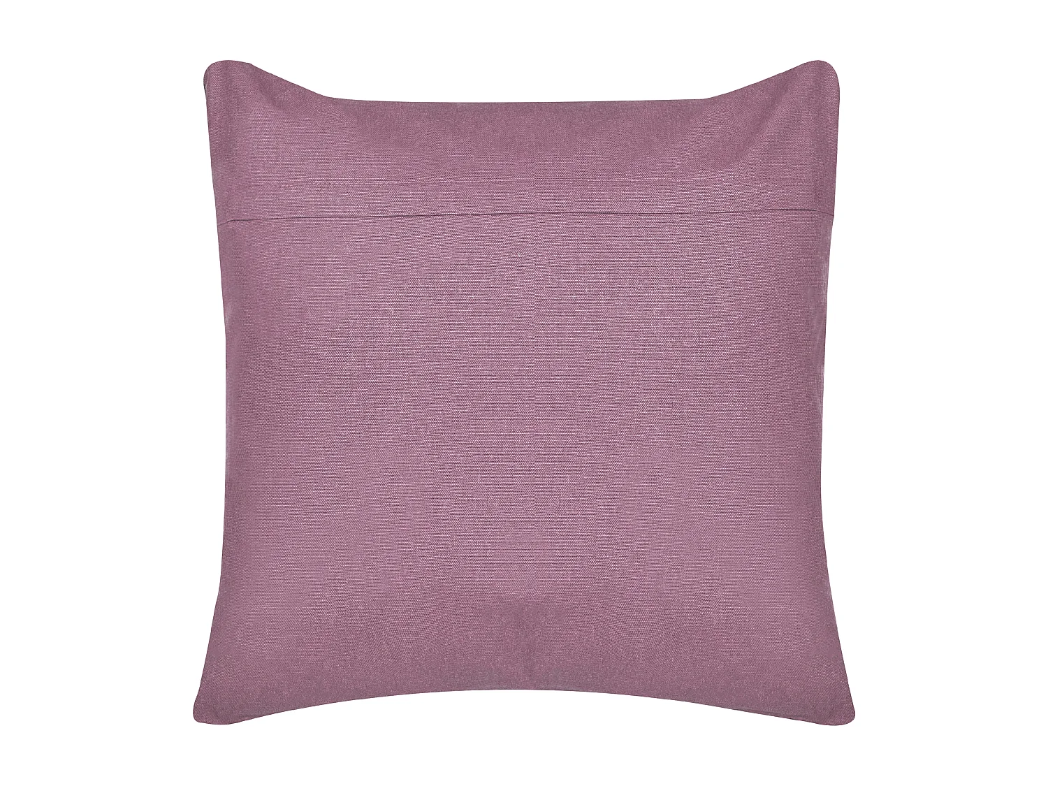 Conjunto de 2 cojines DAYLILY Terciopelo 45 x 45 cm Violeta Patrón animal