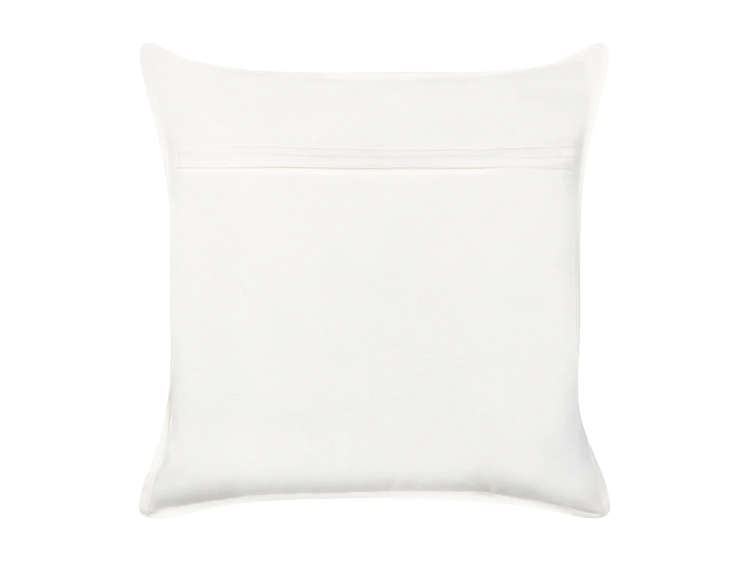 Lot de 2 coussins décoratifs ROCKWEED Coton 45 x 45 cm Bleu Motif floral