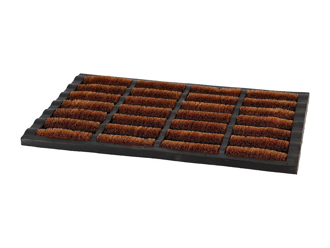 Paillasson caoutchouc et brosses dures en fibres de coco