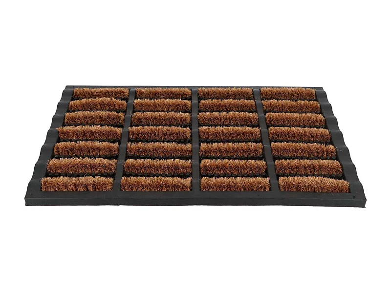 Paillasson caoutchouc et brosses dures en fibres de coco