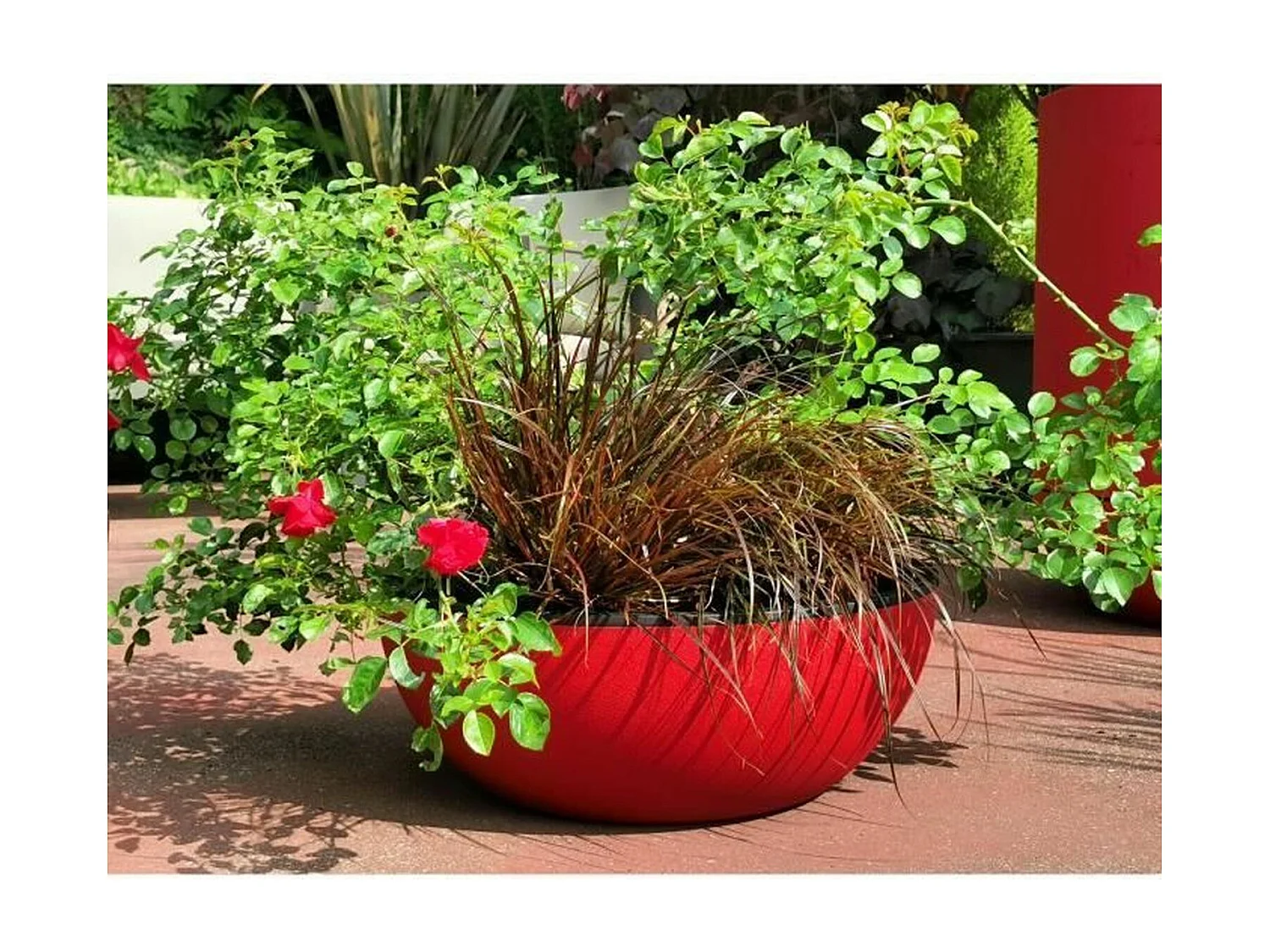Coupe pot de fleurs - granit D40 - rouge