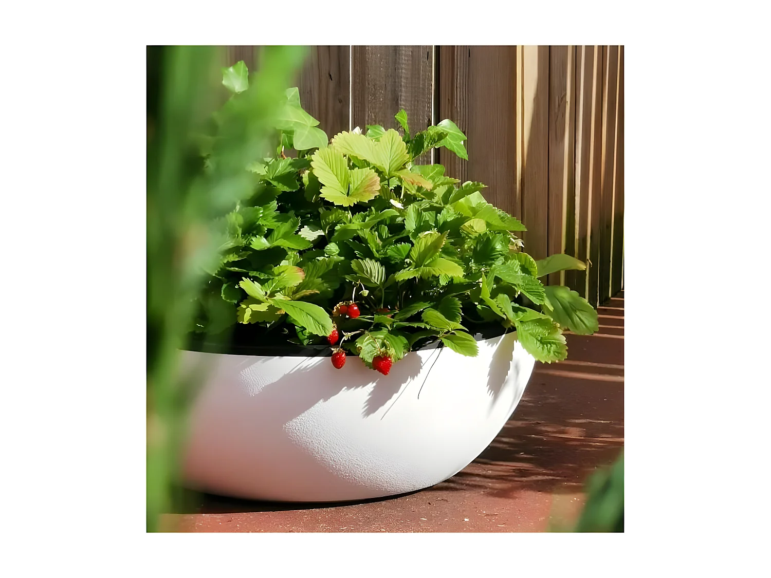 Vaso per Piante in Granito Bianco D40