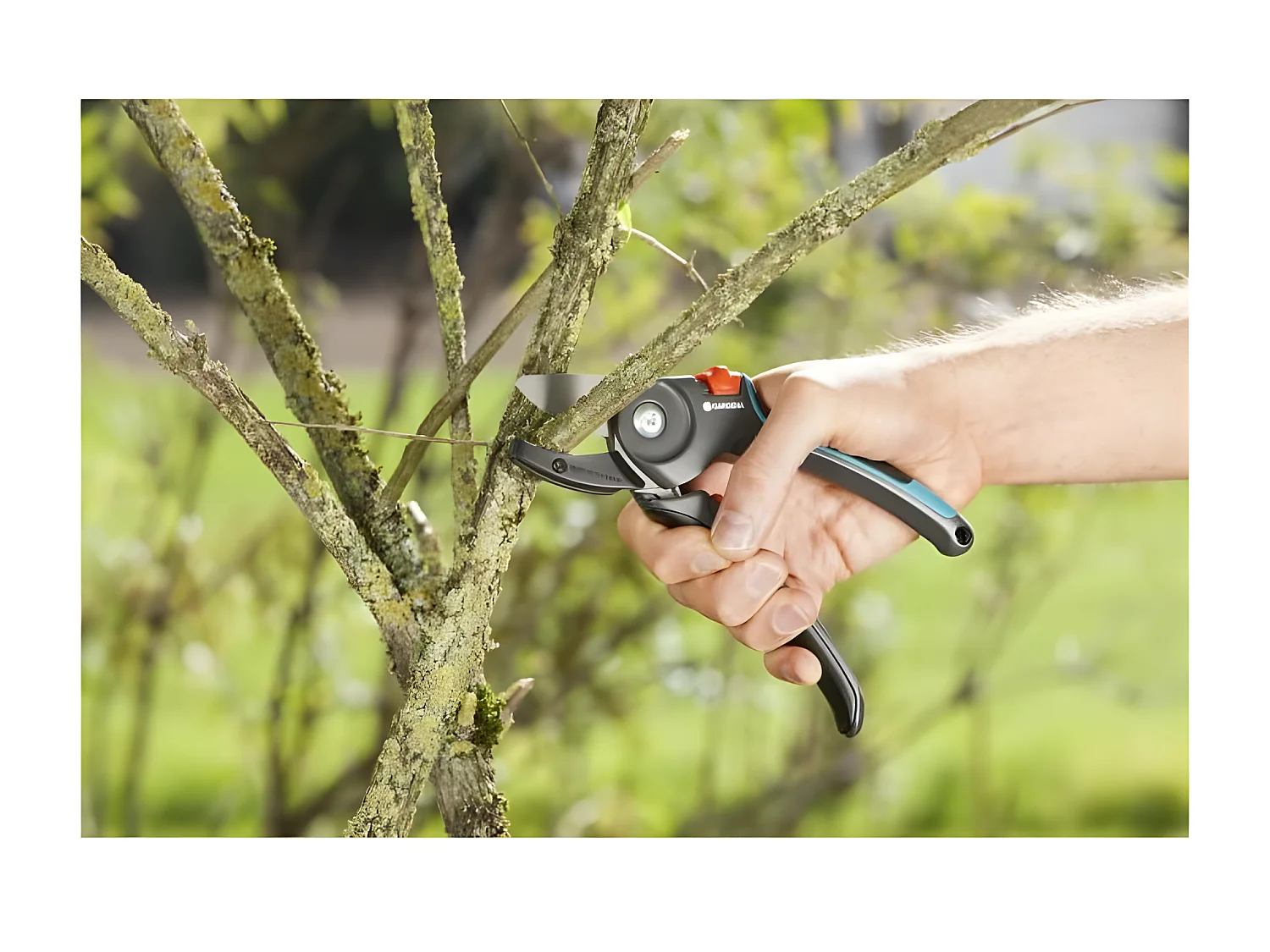 GARDENA Sécateur a enclume Comfort A/M – Ø23m max – Lames a enclume acier inox – Poignée fibre verre – Garantie 25 ans