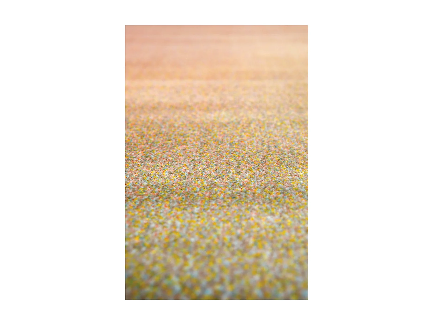 Tapis en polypropylène et polyester Caro 160 x 230 cm