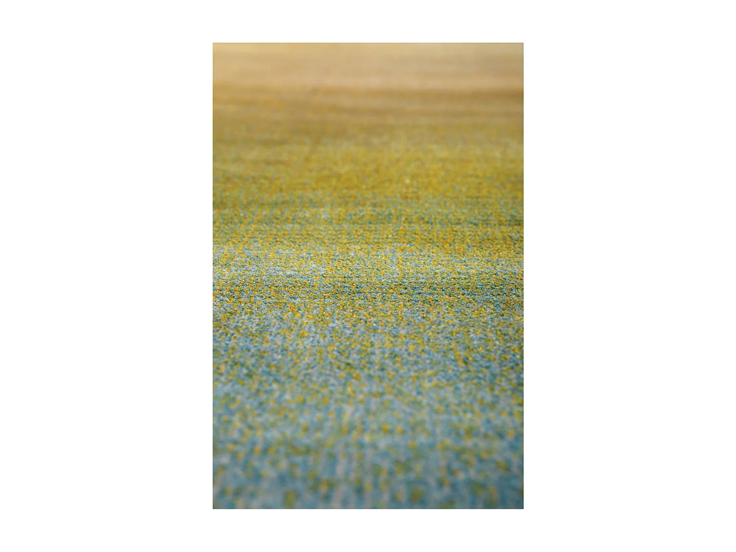 Tapis en polyester Lilo 200 x 290 cm