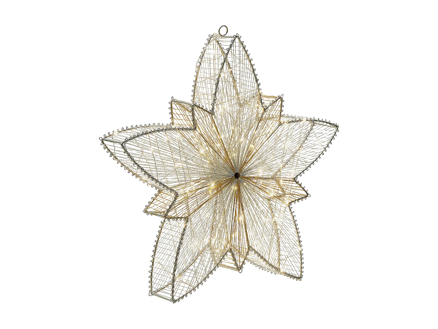 Kerstdecoratie voor buiten LED-verlichting ster zilver 50 cm HOFSOS