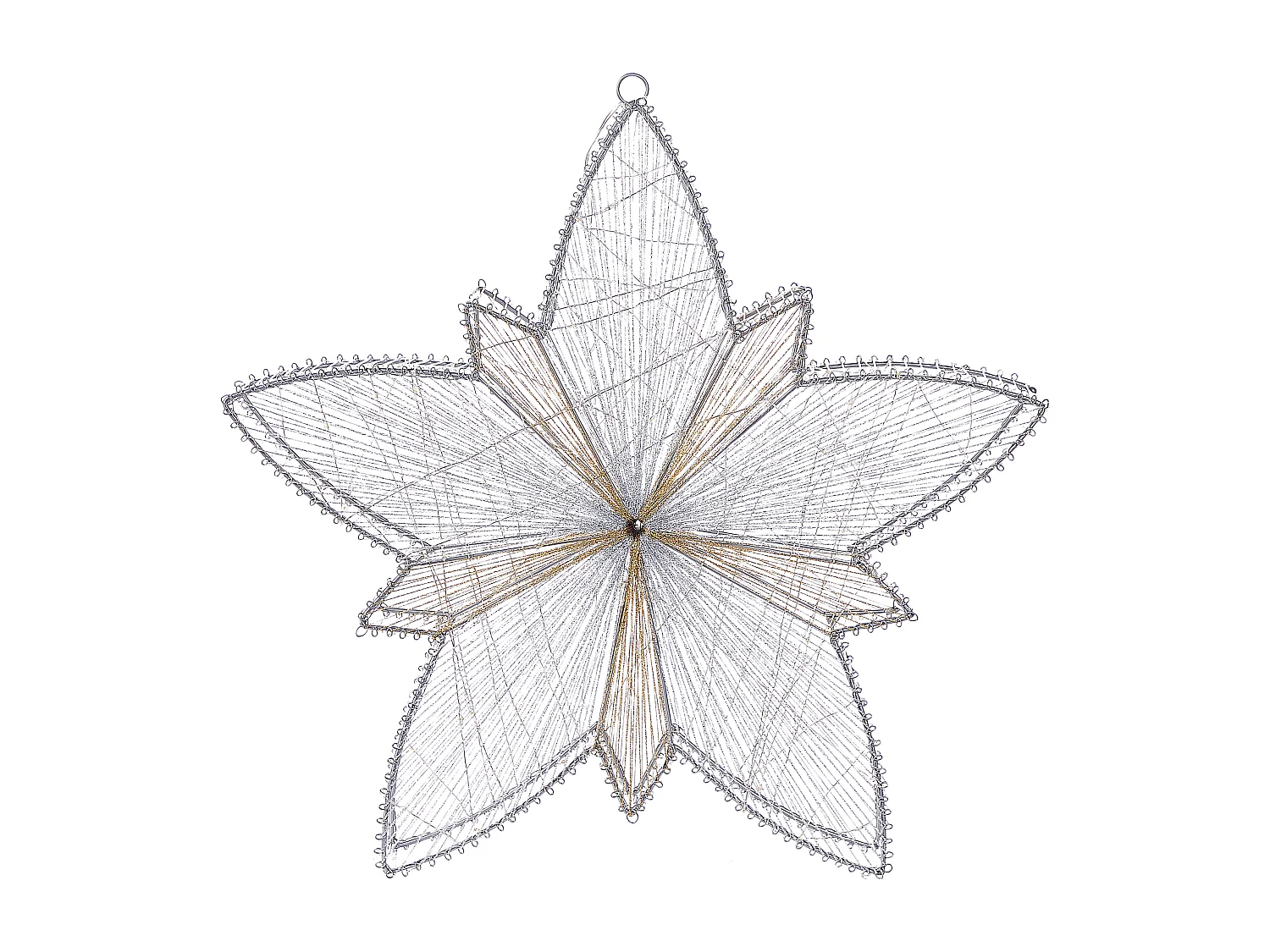 Kerstdecoratie voor buiten LED-verlichting ster zilver 50 cm HOFSOS