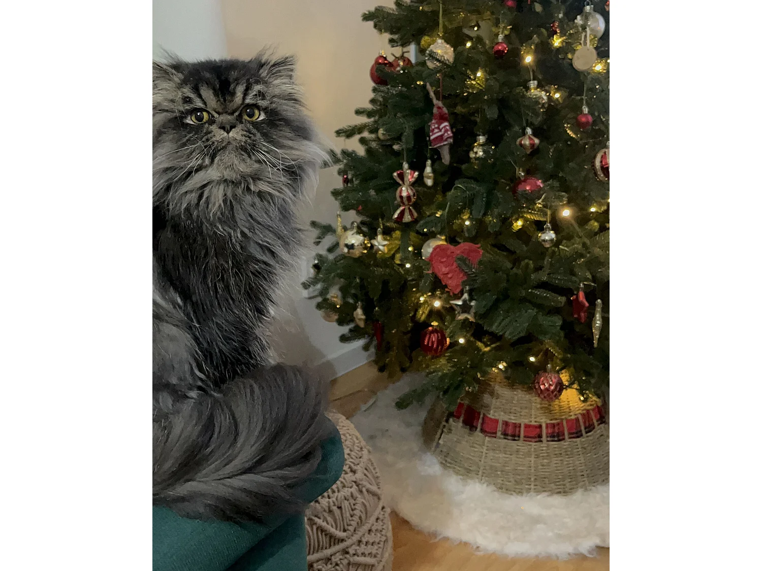 Jupe de sapin de Noël MARCHE Naturel 45 cm Herbier marin