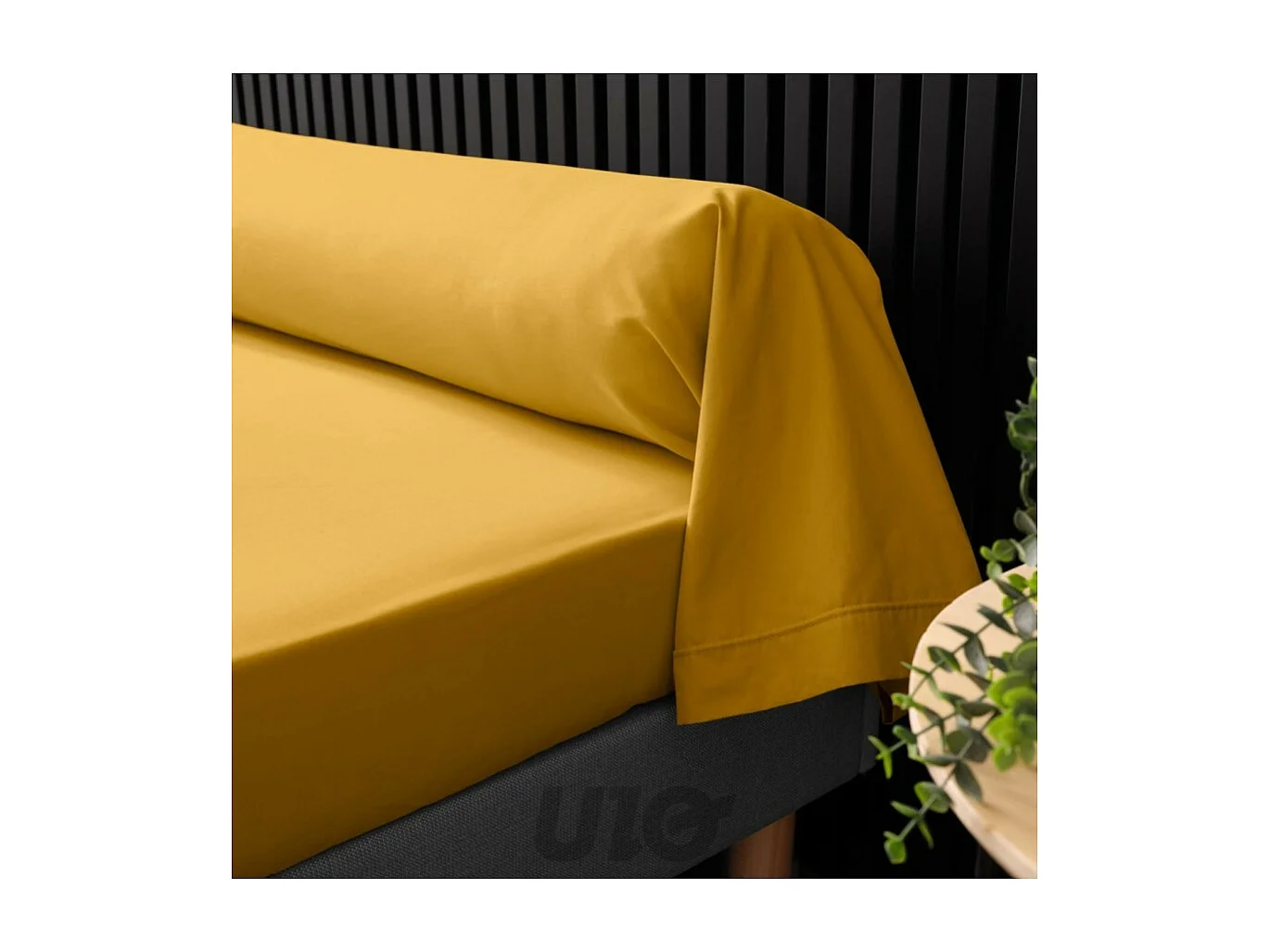 Funda de Almohada de Algodón Percal 85x185cm Curry