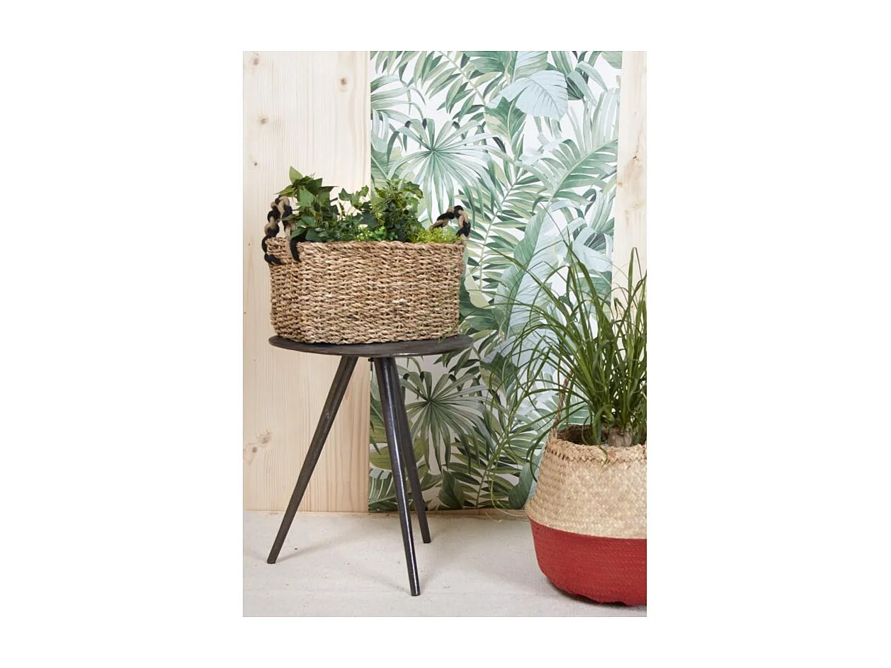 Jardinières rectangulaires en jonc et zinc (lot de 3)