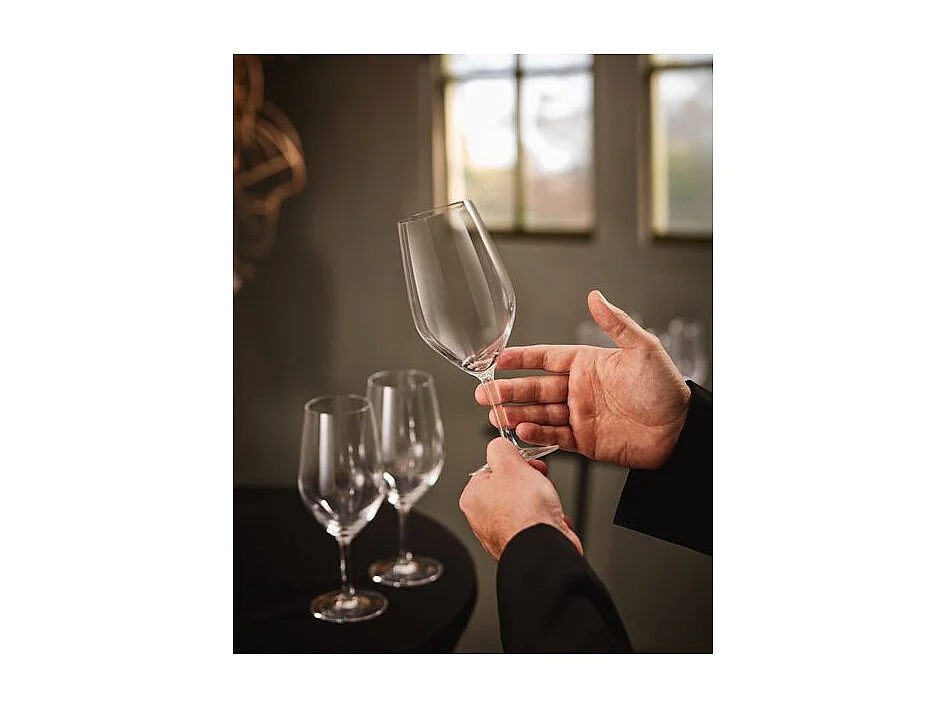 Set aus 6 Gläsern mit Stiel 45 cl Kollektion Evidence von Chef&Sommelier