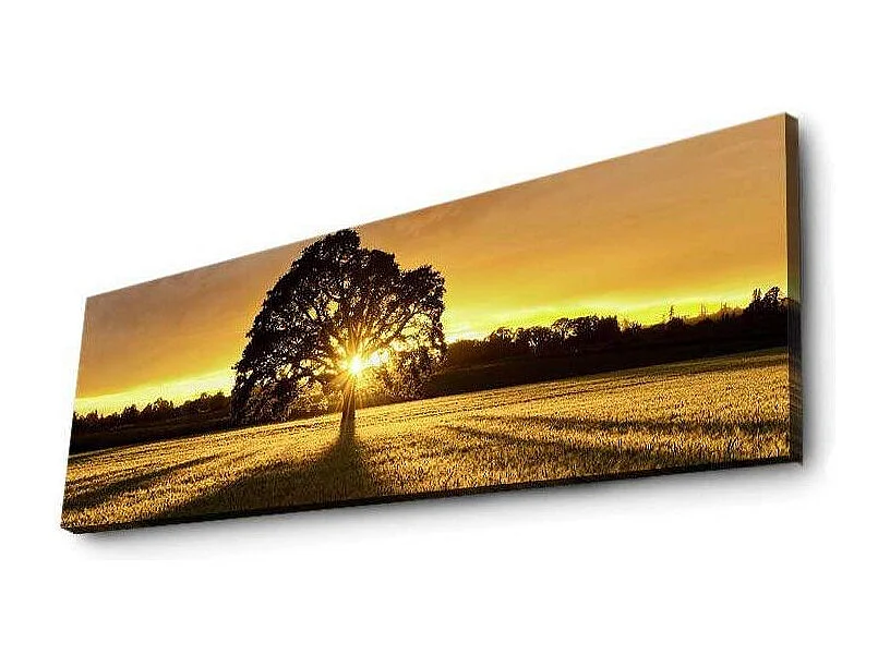 Tableau lumineux Arbre 30 x 90 cm