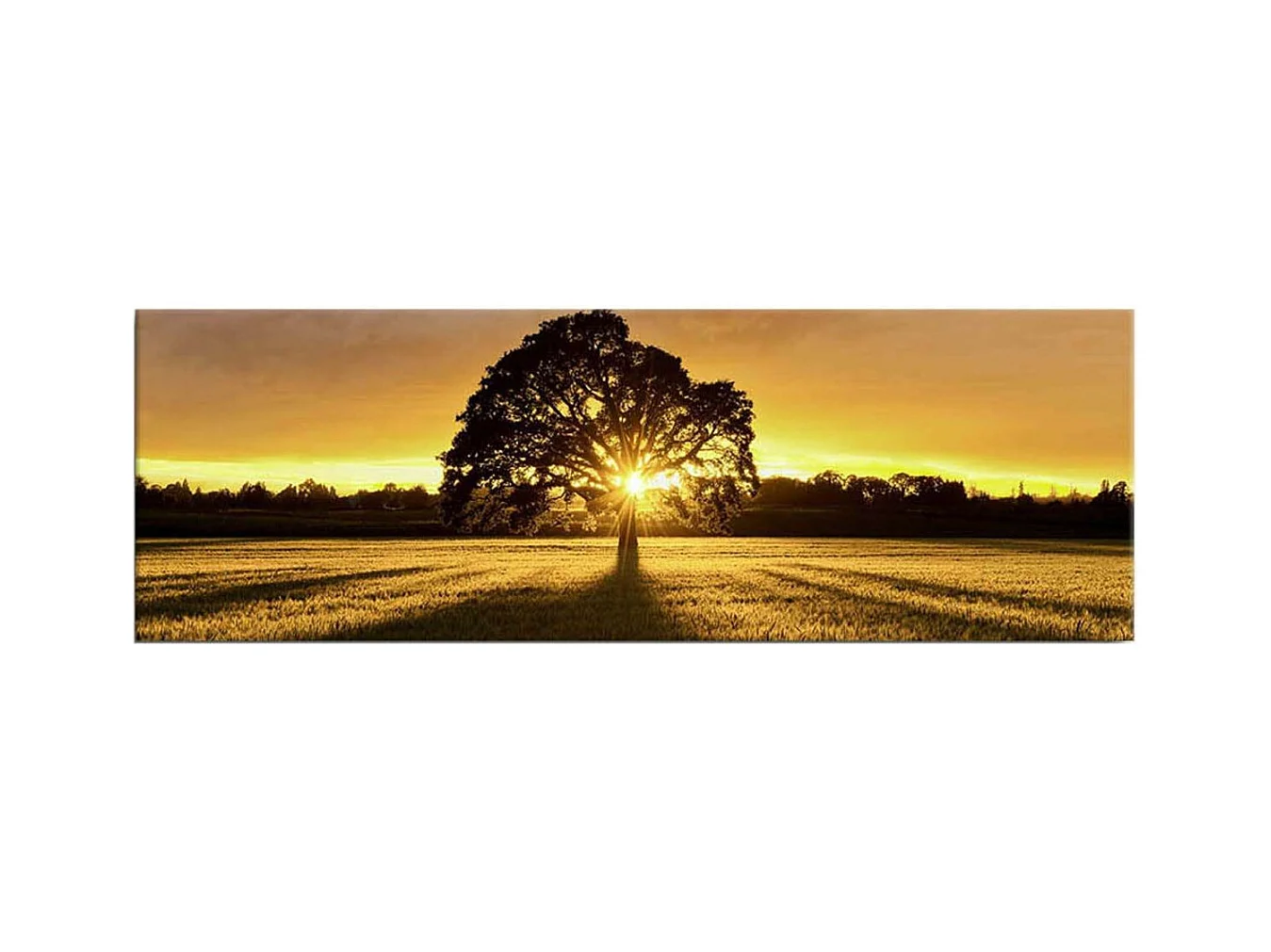 Tableau lumineux Arbre 30 x 90 cm