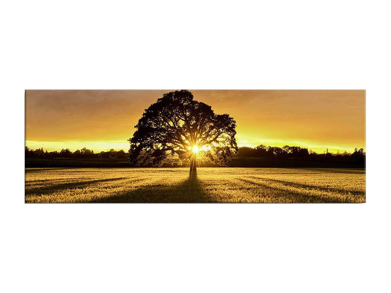 Tableau lumineux Arbre 30 x 90 cm