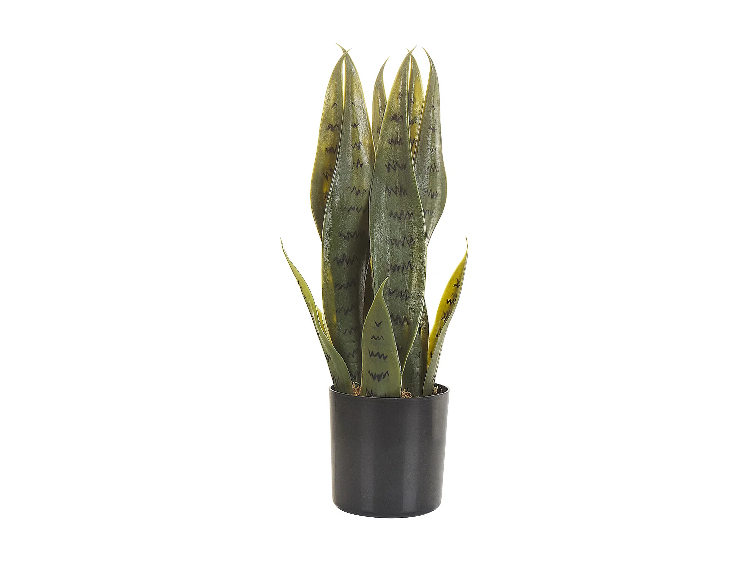 Pianta artificiale in vaso verde e nero 40 cm SNAKE PLANT