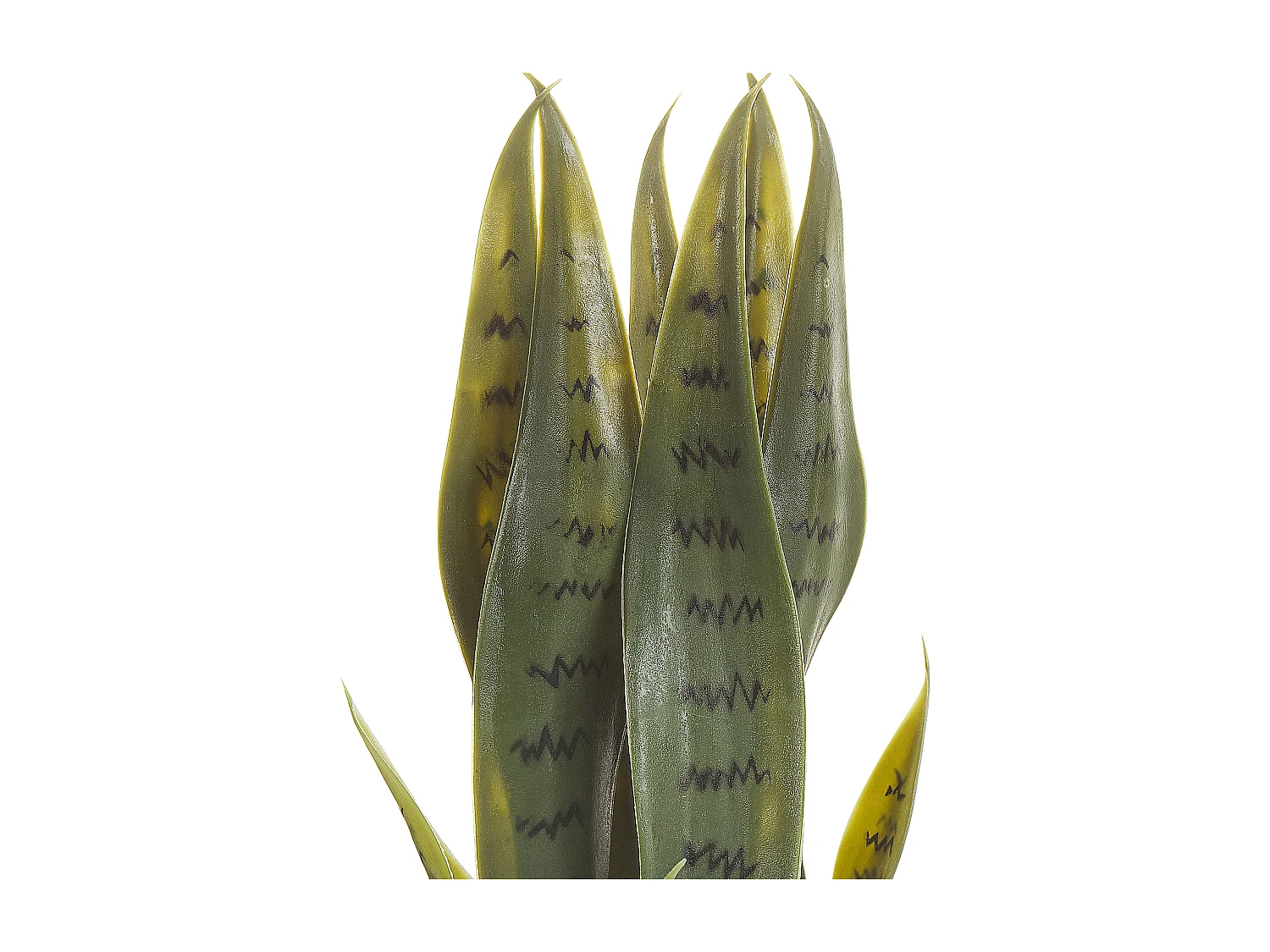 Pianta artificiale in vaso verde e nero 40 cm SNAKE PLANT