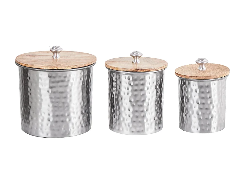 Conteneur ALEXANDRIA Métal Argenté