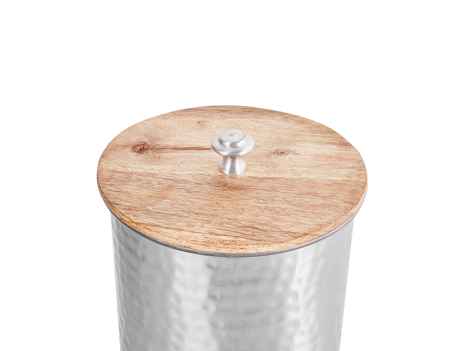 Storage Container ALEXANDRIA Metal Silver