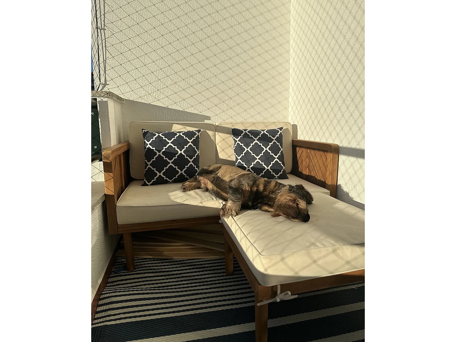 Outdoorteppich HALDIA 90 x 180 cm Schwarz