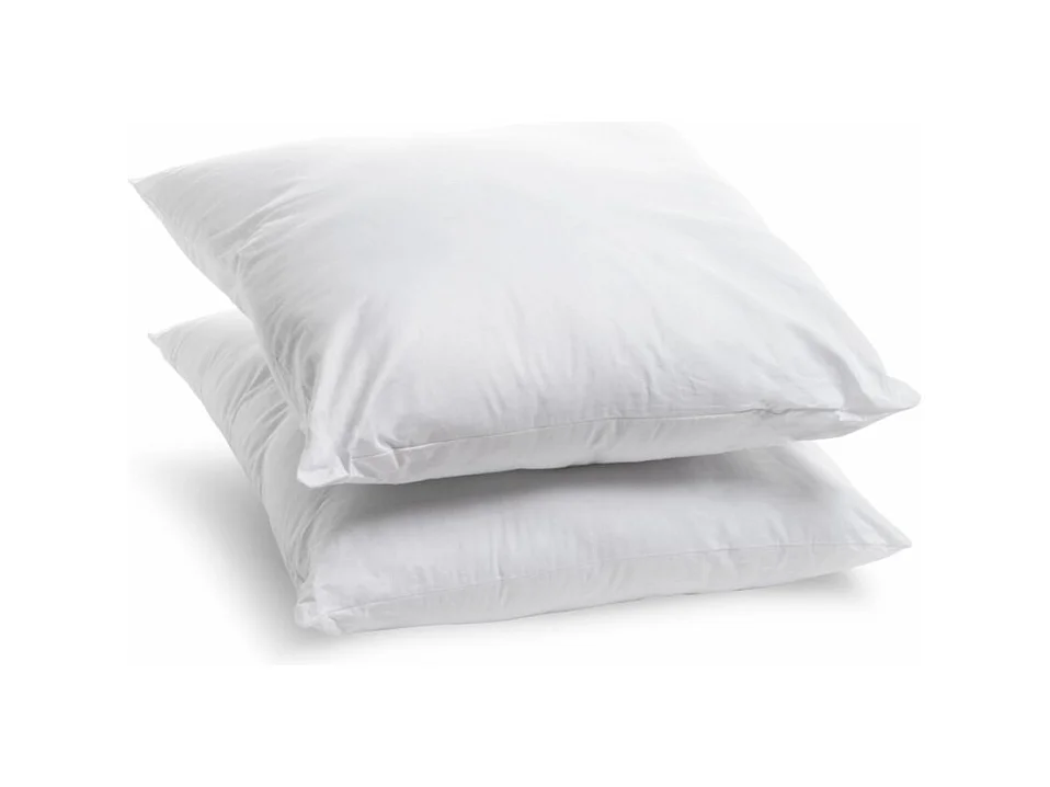 Lot de 2 Oreillers Moelleux Lavables à 95° - 60x60cm