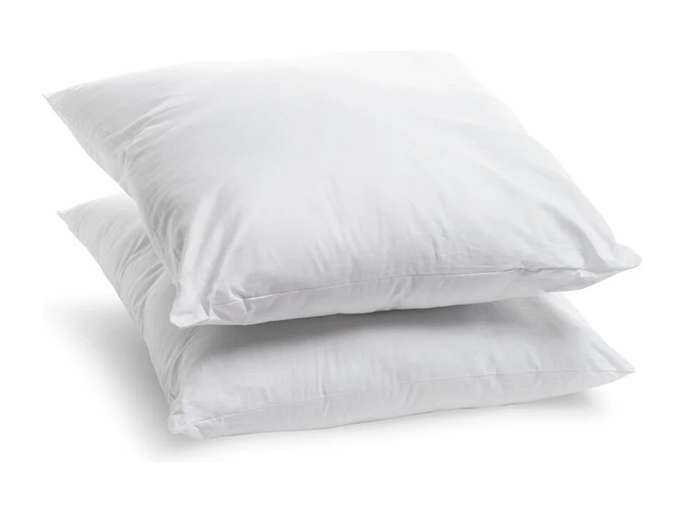 Lot de 2 Oreillers Moelleux Lavables à 95° - 60x60cm