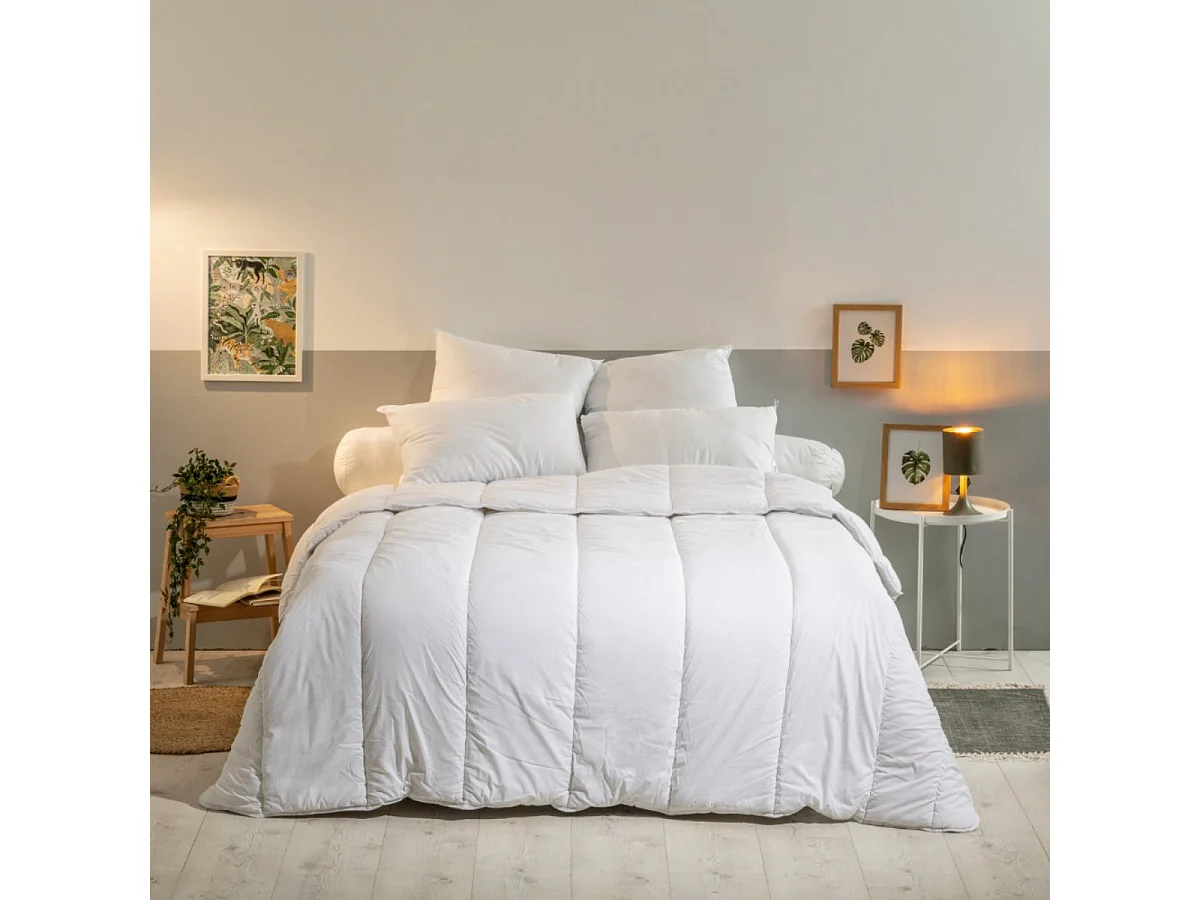 Lot de 2 Oreillers Moelleux Anti-acariens - 60x60cm