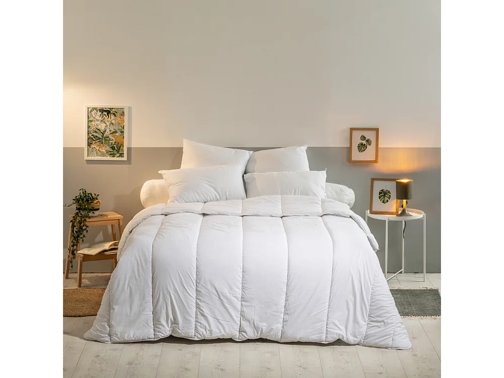 Lot de 2 Oreillers Moelleux Anti-acariens - 60x60cm