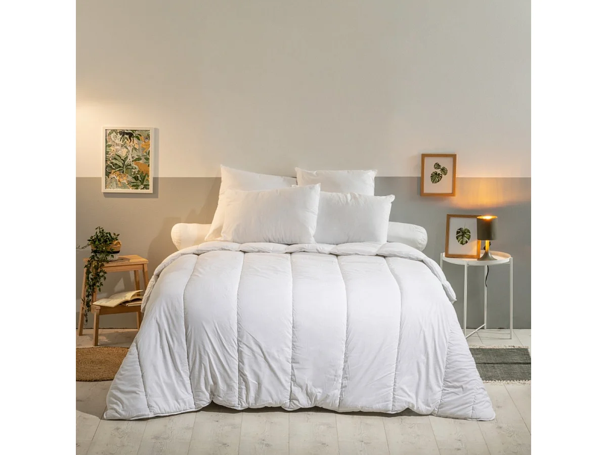 Oreiller moelleux Anti-punaises de lit 60x60cm