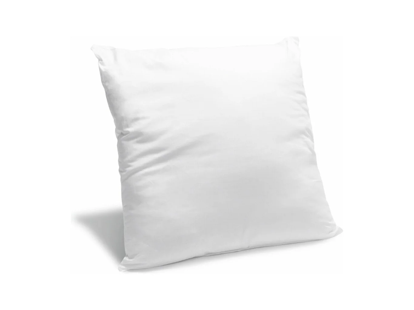 Oreiller moelleux Anti-punaises de lit 60x60cm