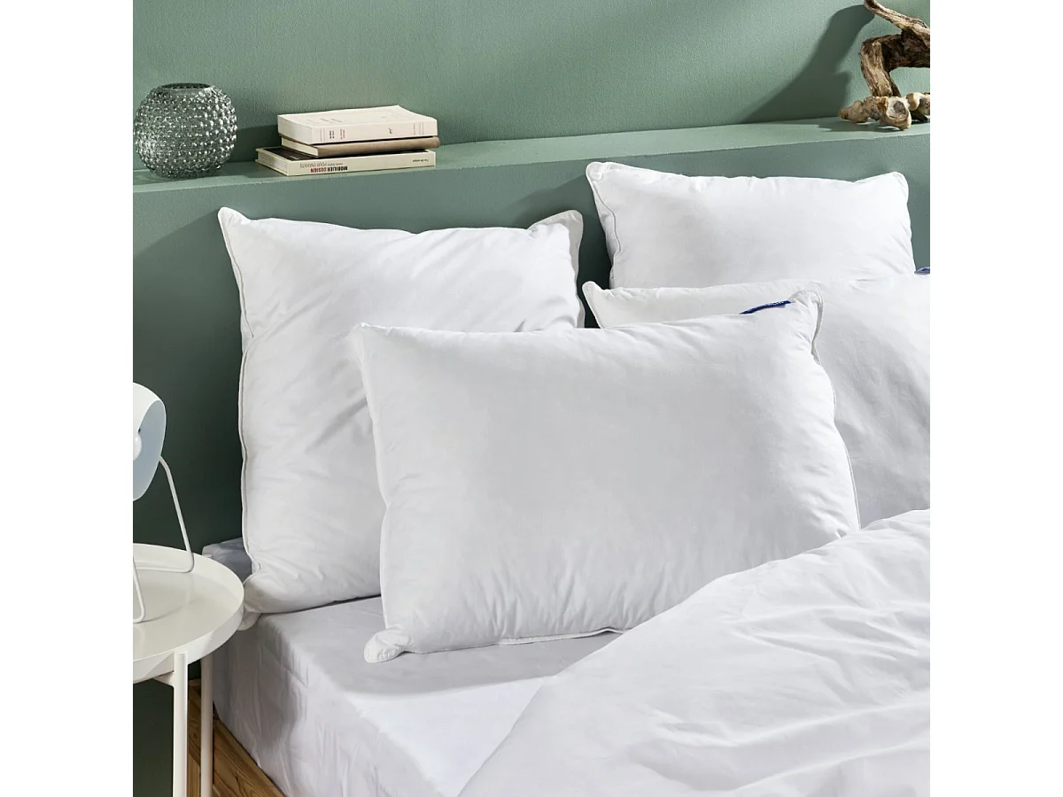 Oreiller Duvet de Canard enveloppe percale de coton - 50x70cm