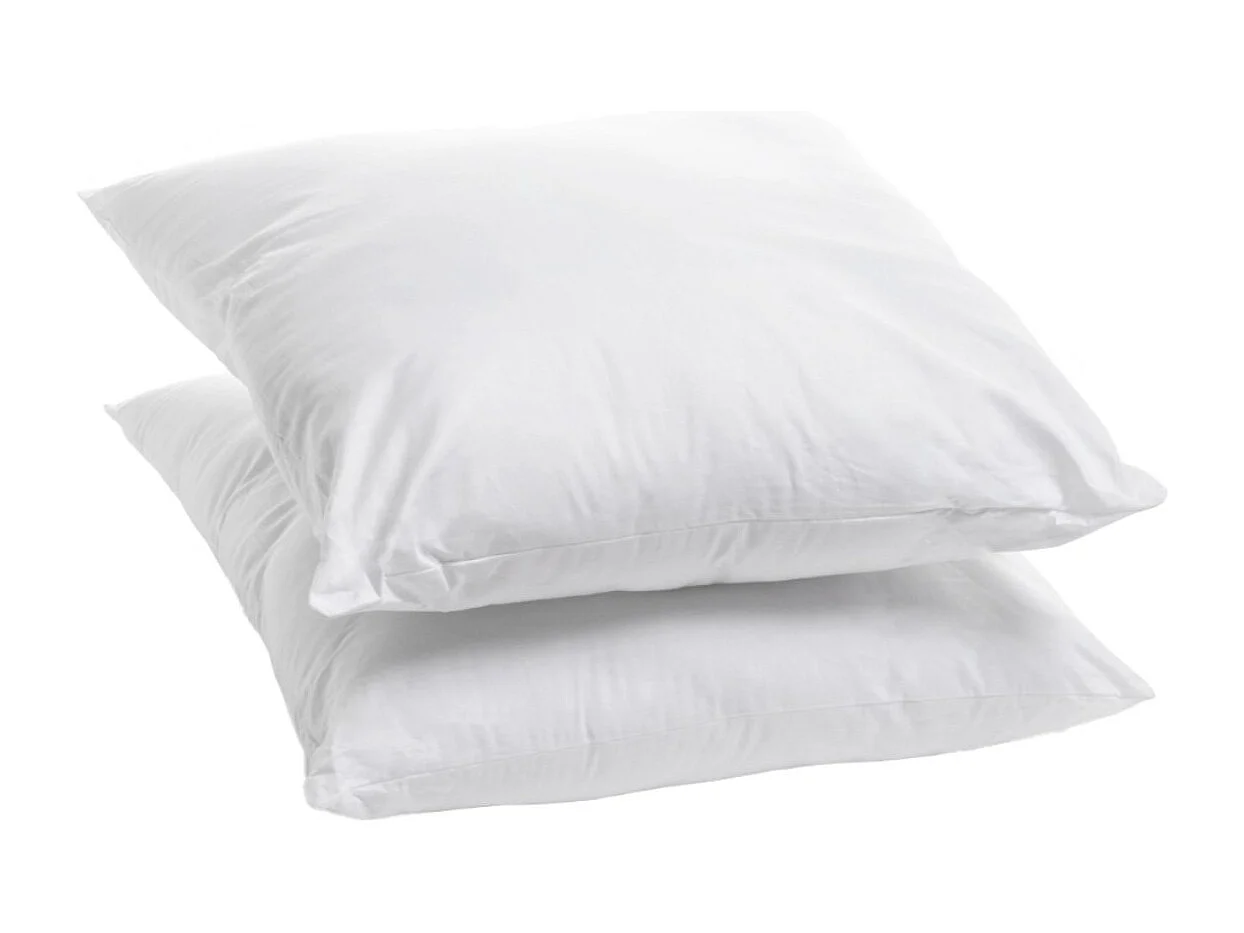 Lot de 2 Oreillers Moelleux Coton Bio - 60x60cm