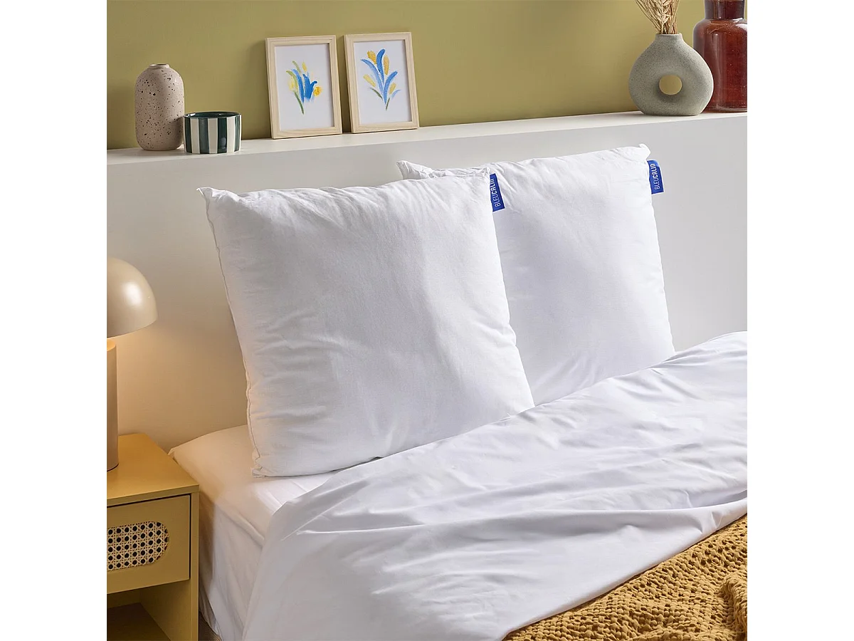 Lot de 2 Oreillers Moelleux Coton Bio - 60x60cm