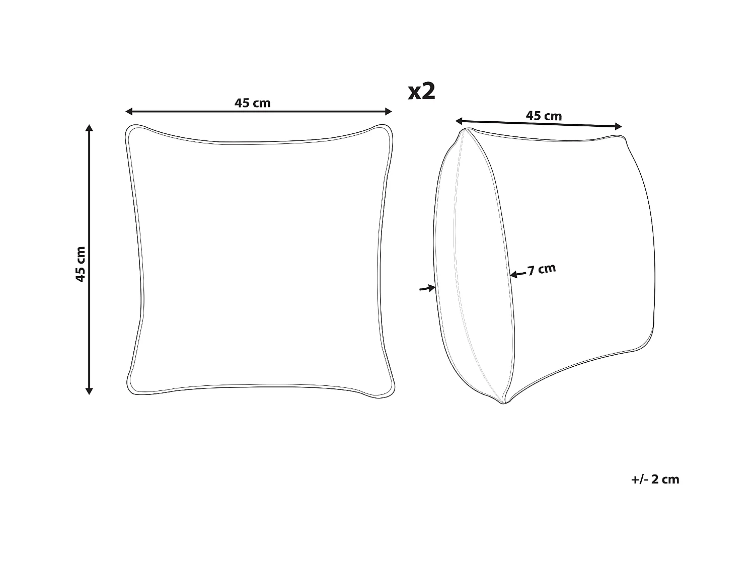 Lot de 2 coussins décoratifs GYNURA Coton 45 x 45 cm Multicolore Motif floral