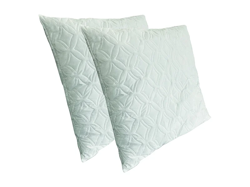 2 oreillers fermes à mémoire de forme anti-acariens et anti-allergéniques 60 x 60 cm